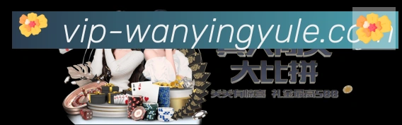 未来规划
